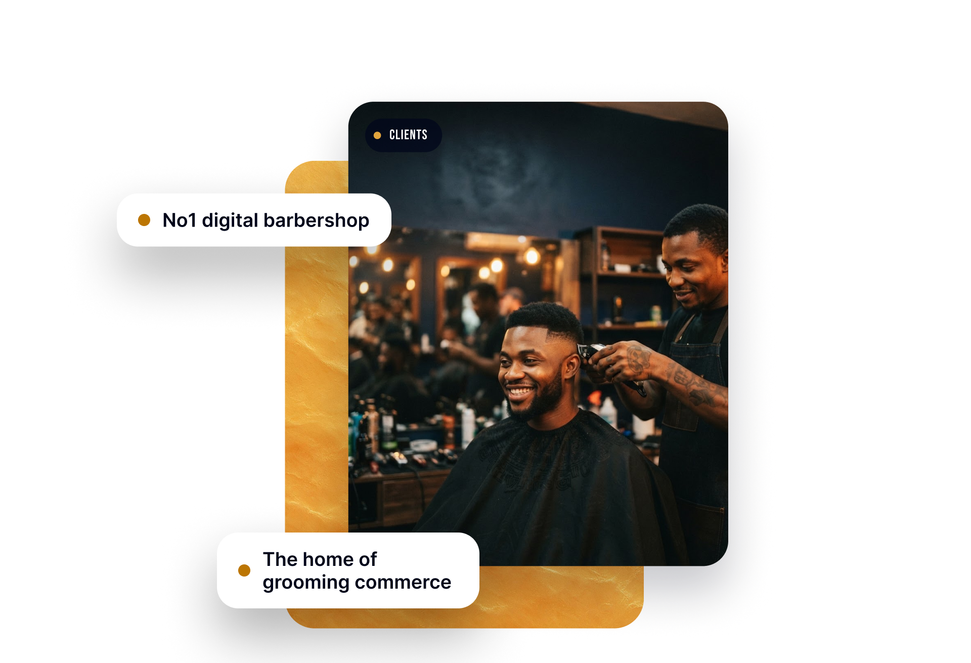 BarberSpot grooming illustration